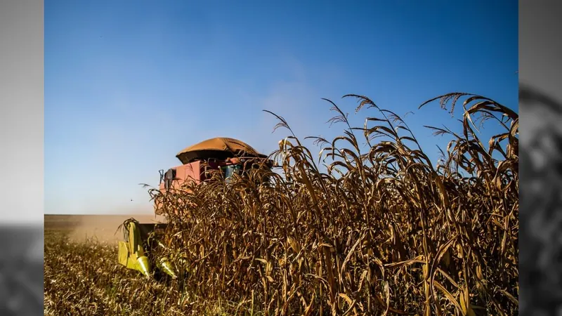 Clima: falta de chuva pode impactar produção agrícola no Matopiba