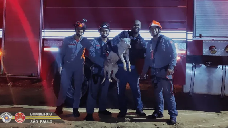 Cachorro é resgatado após cair em um poço em São José dos Campos