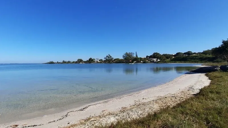 O mar está para peixe: Lagoa de Araruama tem aumento da vida marinha