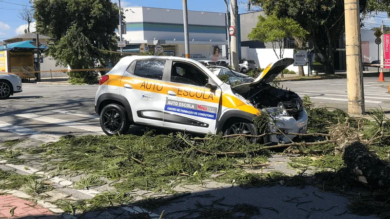 Jovem fica gravemente ferida após queda de árvore em carro de autoescola em SJC 