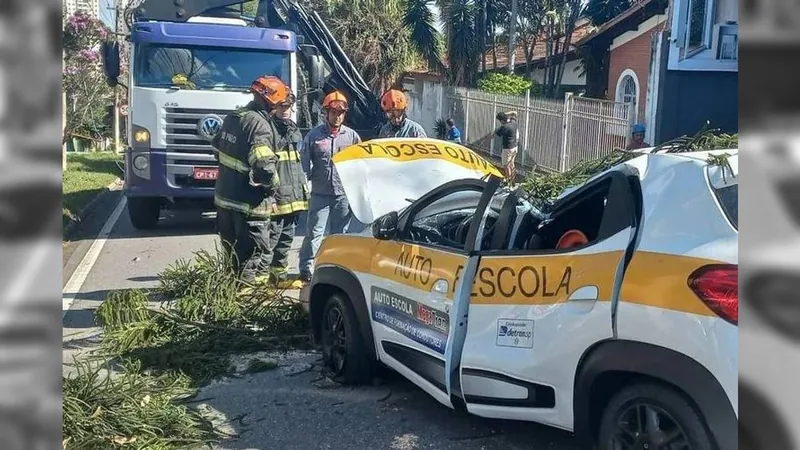 São Paulo tem duas mortes por consequências da ventania