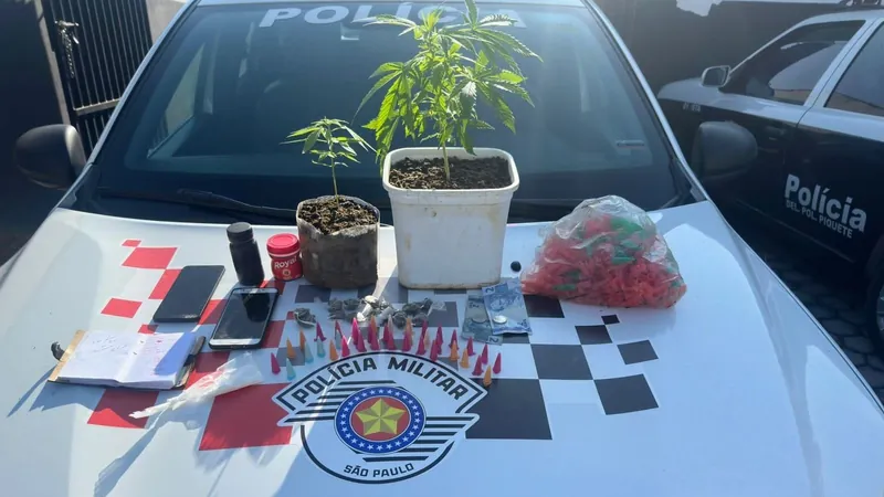 Homem é preso com pés de maconha em operação policial em Piquete