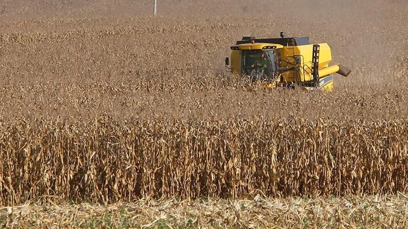 Produção agrícola cresce 19% em agosto em comparação a 2022