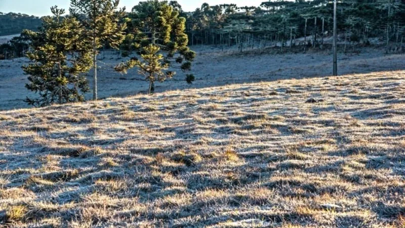 Frio intenso atinge o Rio Grande do Sul no fim de semana