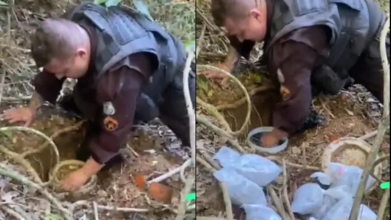 Policiais encontram 14 kg de maconha escondidos em área de mata de Paraty