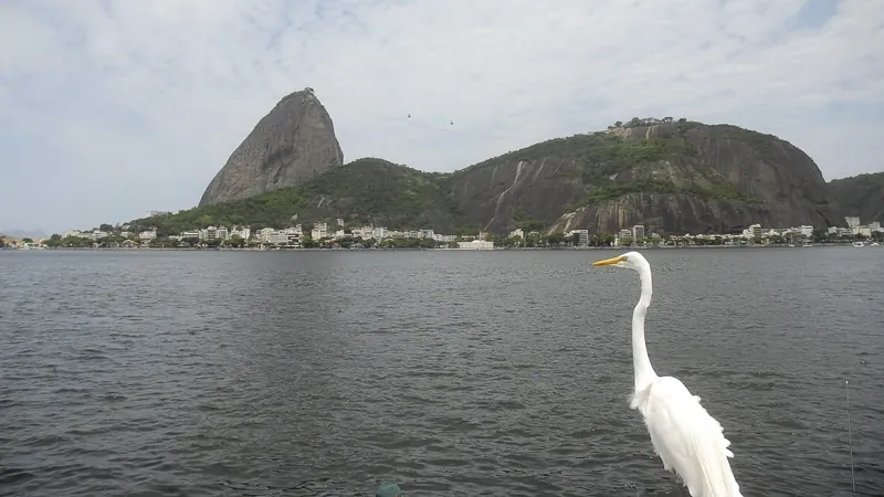 "De Olho na Guanabara": pescadores usam aplicativo para denunciar vazamentos Baía de Guanabara