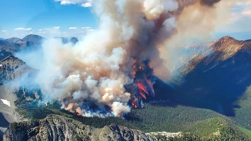 Brasil enviará equipe para ajudar no combate a incêndios florestais no Canadá