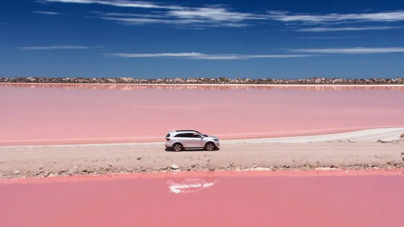 FOTOS: Pelo menos 9 lagos tem a coloração rosa pelo mundo