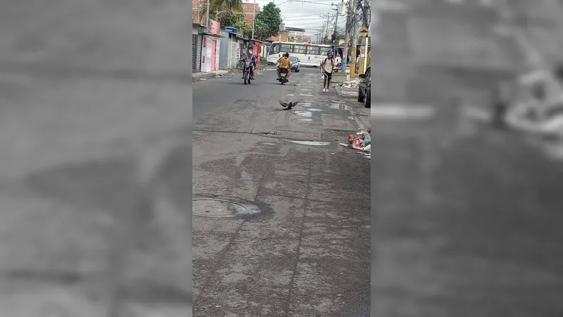 Pelo segundo dia seguido, policiais realizam operação na Vila Aliança