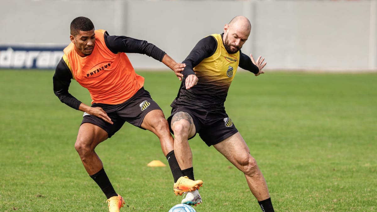 Série B: Novorizontino Está Em Santa Catarina Para Enfrentar O Criciúma ...