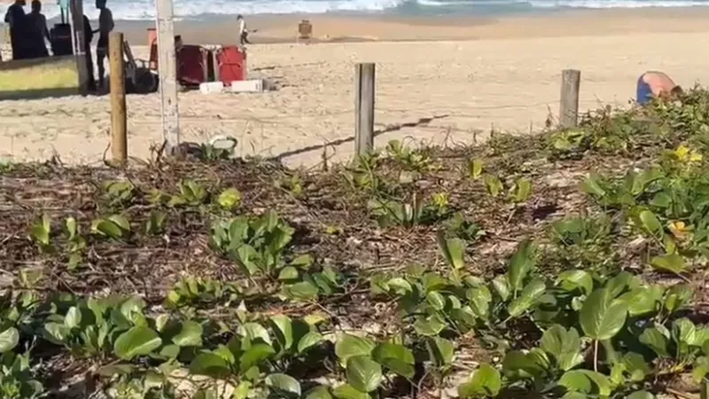 Polícia realiza ação contra desmatamento na vegetação de dunas das orlas do Rio