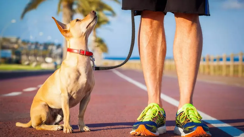 "Corrida Bem Estar" e "Cãominhada" movimentam Lagoa do Taquaral neste domingo