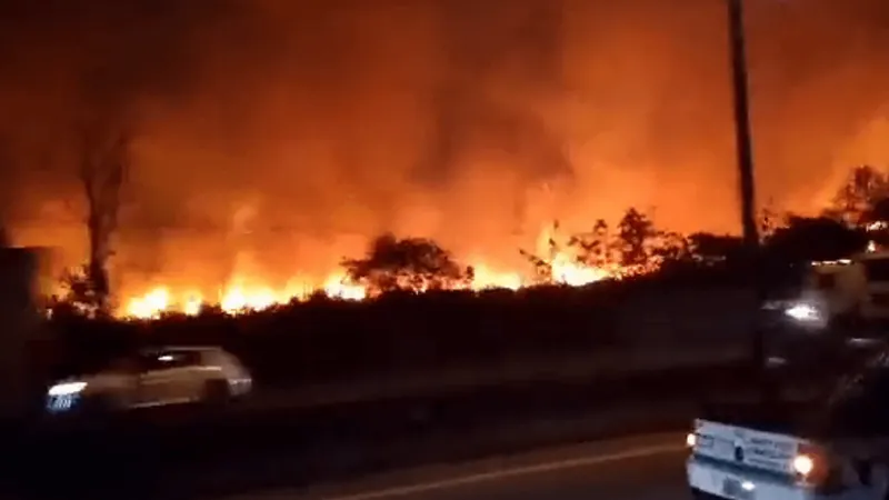 Bombeiros controlam incêndio em mata ás margens da BR-040