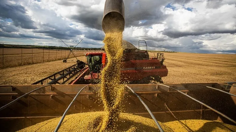 Com alta recorde no agro, PIB do Brasil cresce 2,9% em 2023