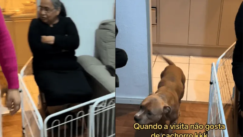 Mulher prende visitas que não gostam de seus cachorros