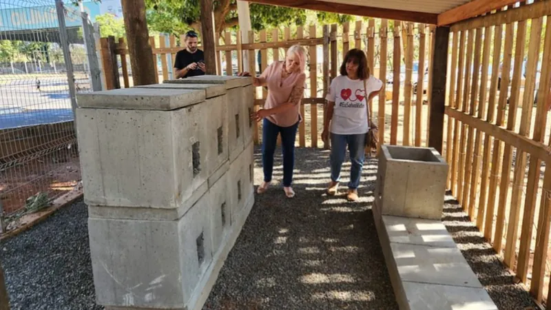 Estruturas vão abrigar gatos que vivem no local