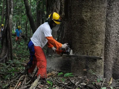 Cúpula da Amazônia: líderes tratarão de desmatamento a parlamento internacional