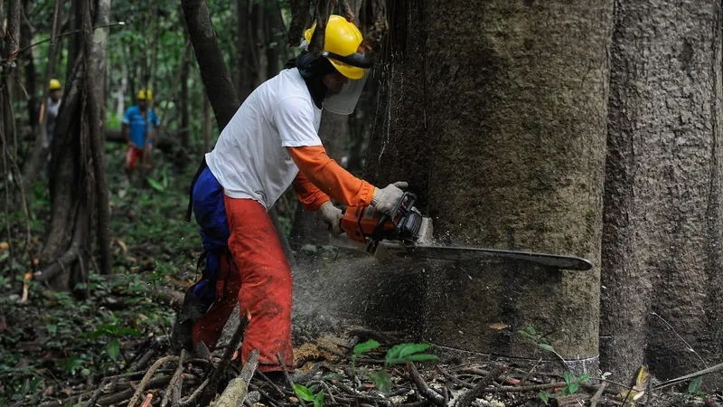 Cúpula da Amazônia: líderes tratarão de desmatamento a parlamento internacional