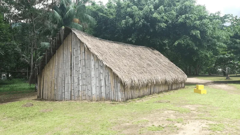 Ubatuba cria Conselho Municipal dos Povos Originários e Comunidades Tradicionais