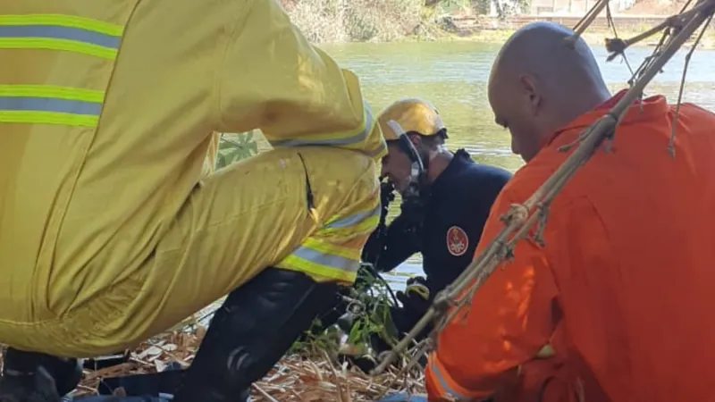 O corpo estava perto do local onde a criança foi deixada