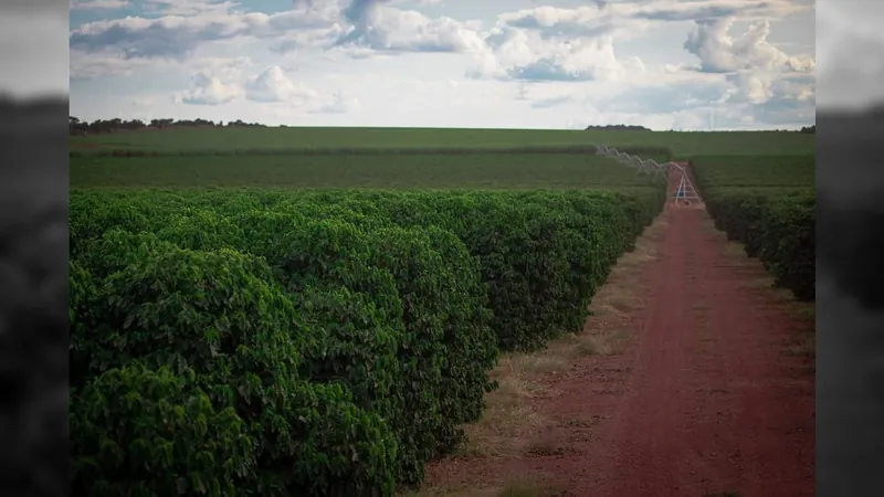 Setor do agronegócio terá duas linhas de investimentos no novo PAC