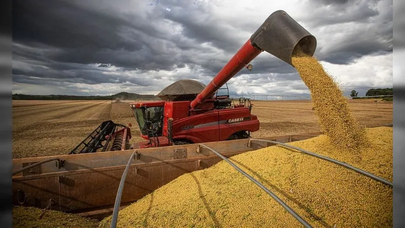 PIB da cadeia da soja e do biodiesel pode crescer 20% em 2023