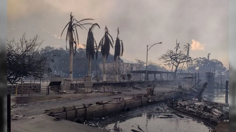 Incêndio florestal no Havaí, com mais de 90 mortos, é o mais letal em 100 anos