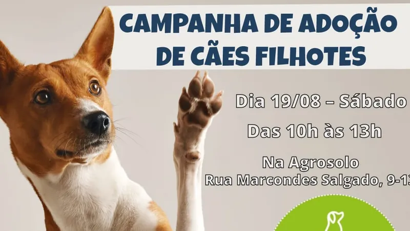 A campanha será realizada das 10h às 13h