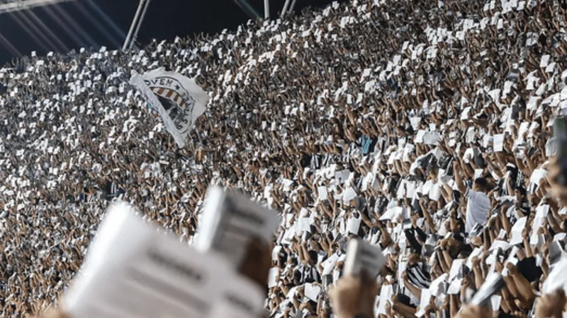 Botafogo é acionado no STJD após torcida organizada usar suposta frase nazista