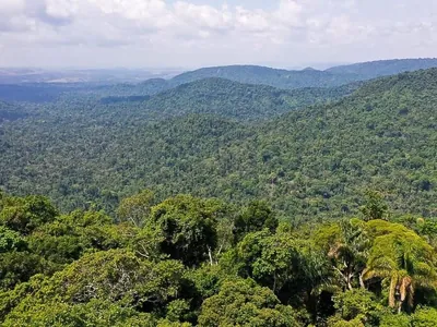 Justiça bloqueia R$ 292 milhões de acusado de desmatar a Amazônia