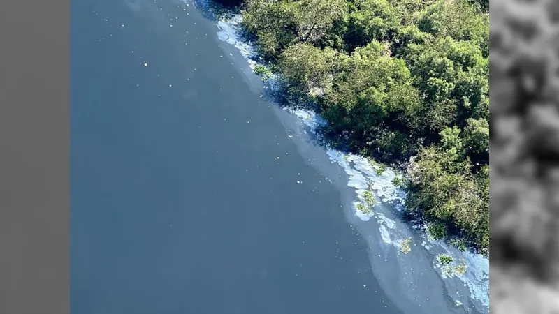 Mancha de óleo no Rio Iguaçu preocupa ambientalistas