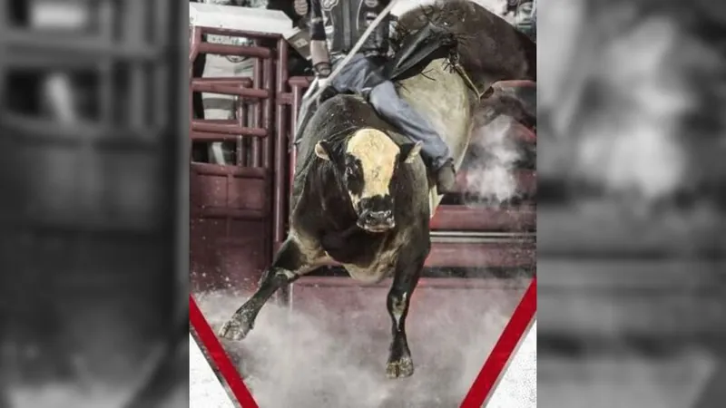 Festa do Peão de Americana (OFICIAL) - Na final Mundial da PBR