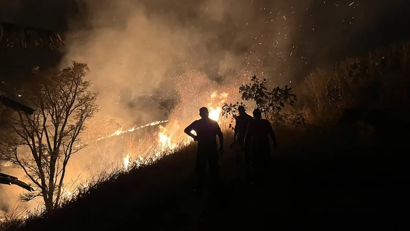 Parque do Itaim tem 22 hectares de preservação ambiental queimados em Taubaté