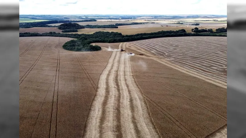 34 cidades do Paraná têm VBP da Agropecuária acima de R$ 1 bilhão