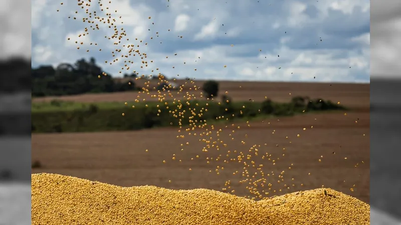 Em 7 meses, Brasil exporta 72 milhões de toneladas de toneladas de soja