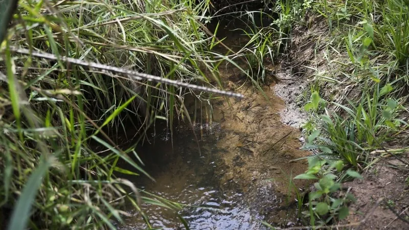 Lei inclui recuperação de nascentes na legislação ambiental