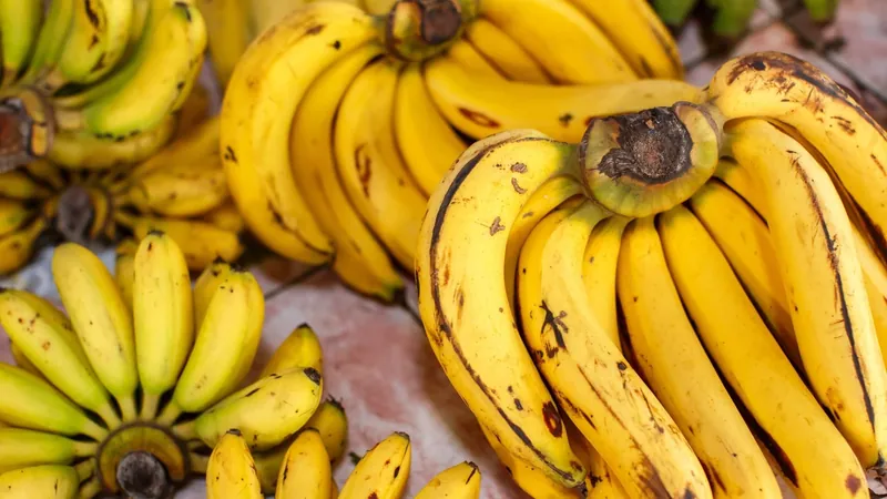 Picadinho de banana verde é opção vegetariana deliciosa; aprenda receita