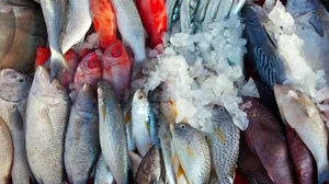 Como escolher peixe fresco? 5 dicas para não errar mais!