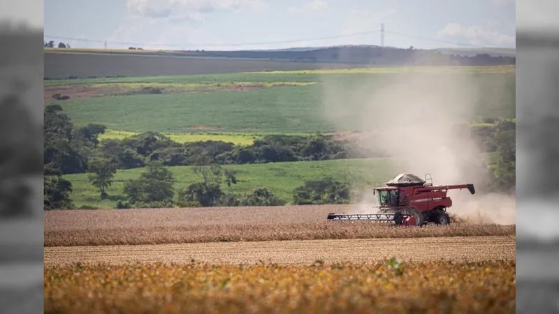 BNDES anuncia mais R$ 5,1 bilhões em Programas Agropecuários do Plano Safra