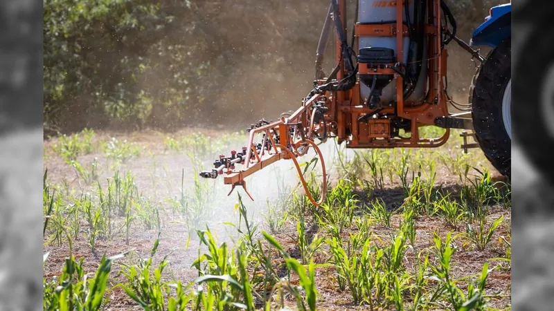 Reforma tributária dará 60% de isenção a agrotóxicos e sementes transgênicas