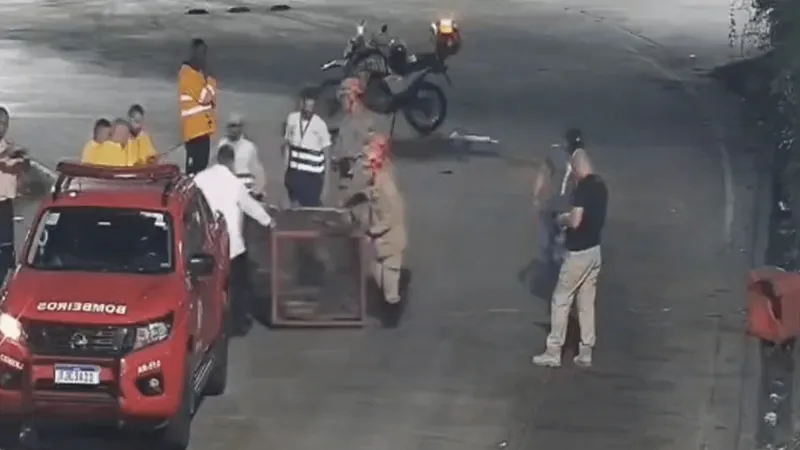 Vídeo: Jacaré é resgatado no Terminal Alvorada nesta madrugada