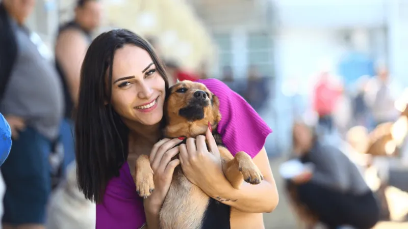 Meu Pet Feliz tem 1.000 vagas para castração e microchipagem em São José