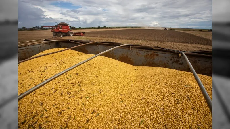 Brasil tem safra recorde de 322,8 milhões de toneladas de grãos