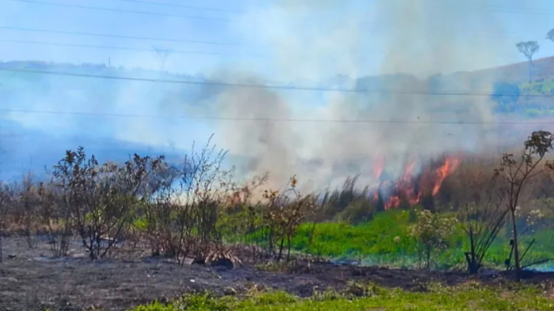 Após 24h de trabalho, bombeiros apagam fogo em área verde de Limeira