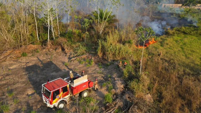 Governo do Amazonas decreta emergência ambiental