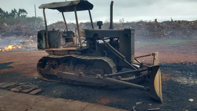 Foram destruídos cerca de 450 hectares