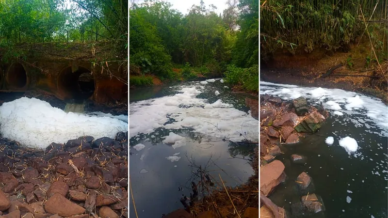 GCM flagra descarte irregular de esgoto no Ribeirão Cachoeira, em Piracicaba