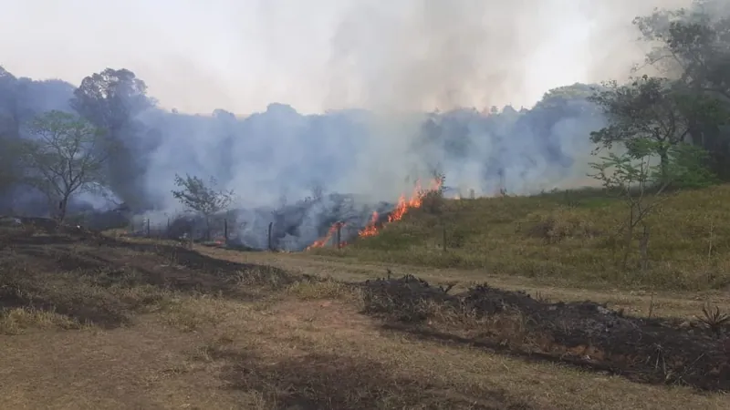 Após mês com recorde de queimadas, corredor de fumaça cobre parte do Brasil