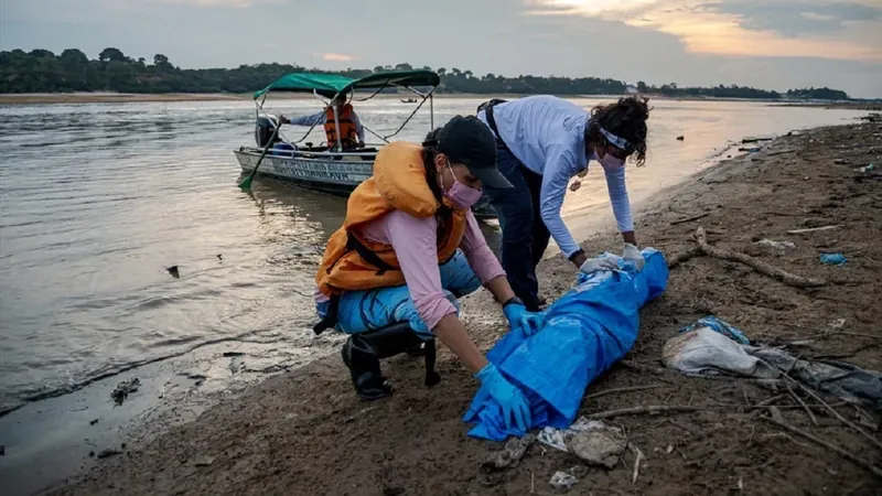 Ibama envia veterinários para atender botos que sofrem com seca no Amazonas