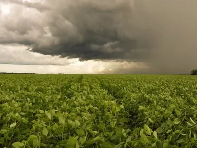 Previsão indica que vai chover em Mato Grosso (e muito); confira